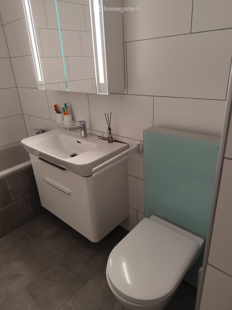 Modern bathroom with a white sink, faucet, toilet, and mirrored cabinet. Includes a toothbrush holder and incense holder on the sink counter.