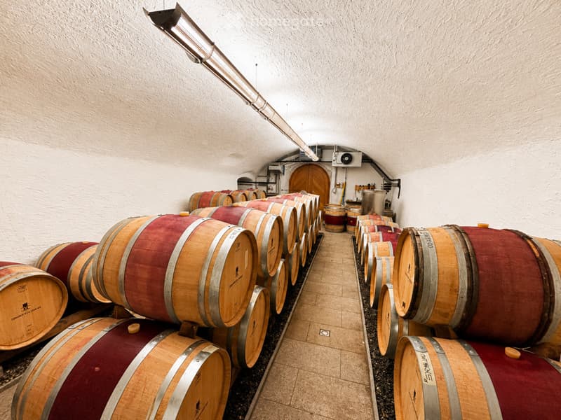 Underground wine cellar with rows of wooden wine barrels lined up against white stone walls, featuring a wooden door and ventilation duct in the background.