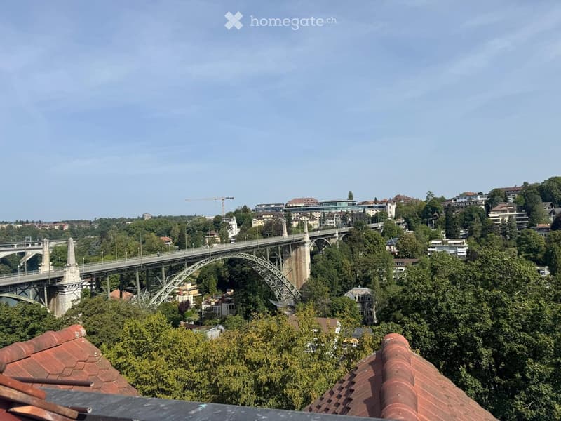 View from a balcony or terrace overlooking a cityscape with a prominent bridge, surrounding buildings, and lush greenery.