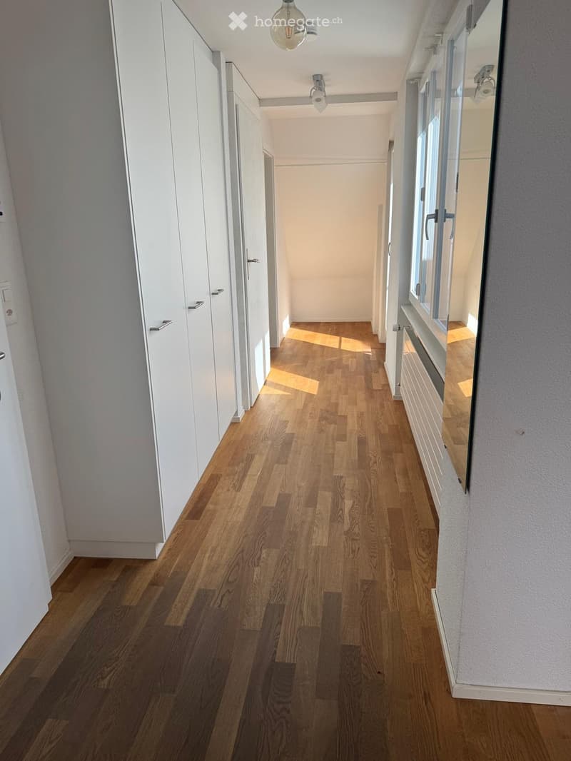 Clean, modern hallway with wooden flooring, white walls, built-in storage units, and recessed lighting.