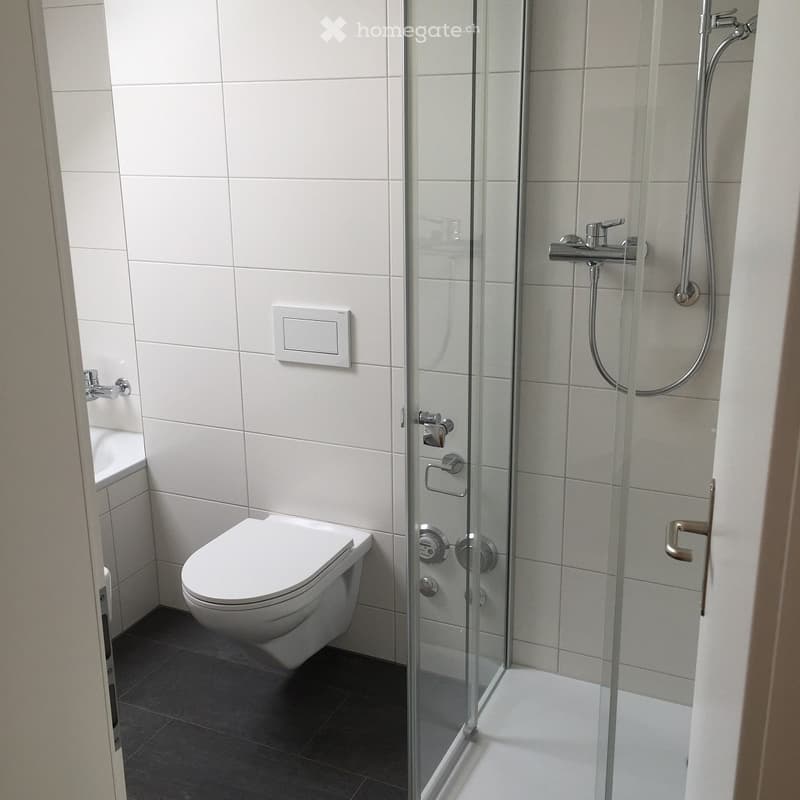 Modern bathroom with white tiles, a toilet, a glass-enclosed shower, and a chrome faucet.
