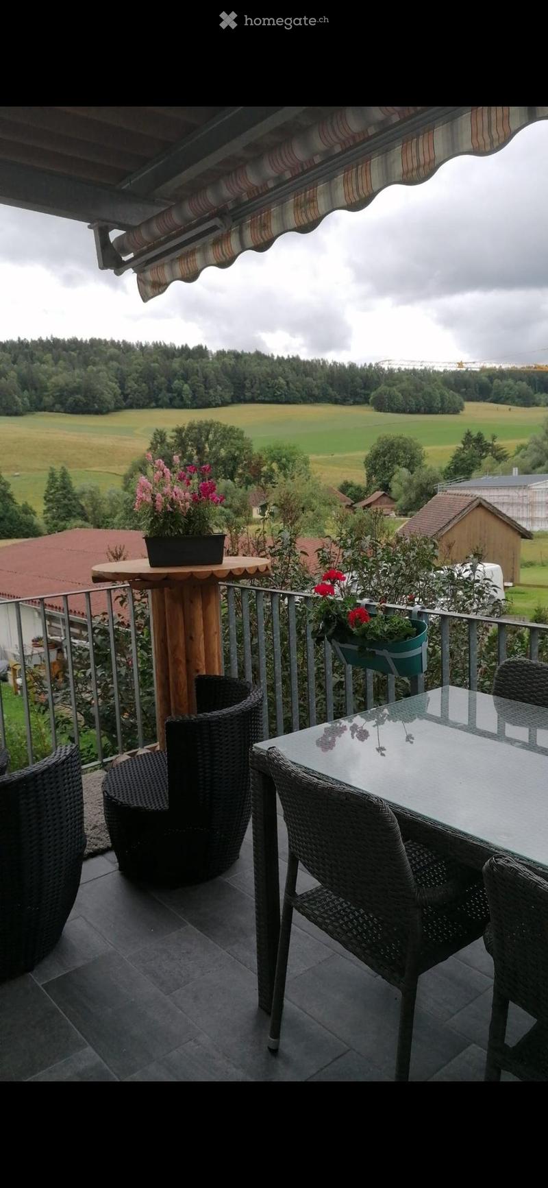 Balcony with a view of a green landscape, featuring a round wooden table, wicker chairs, and potted plants.