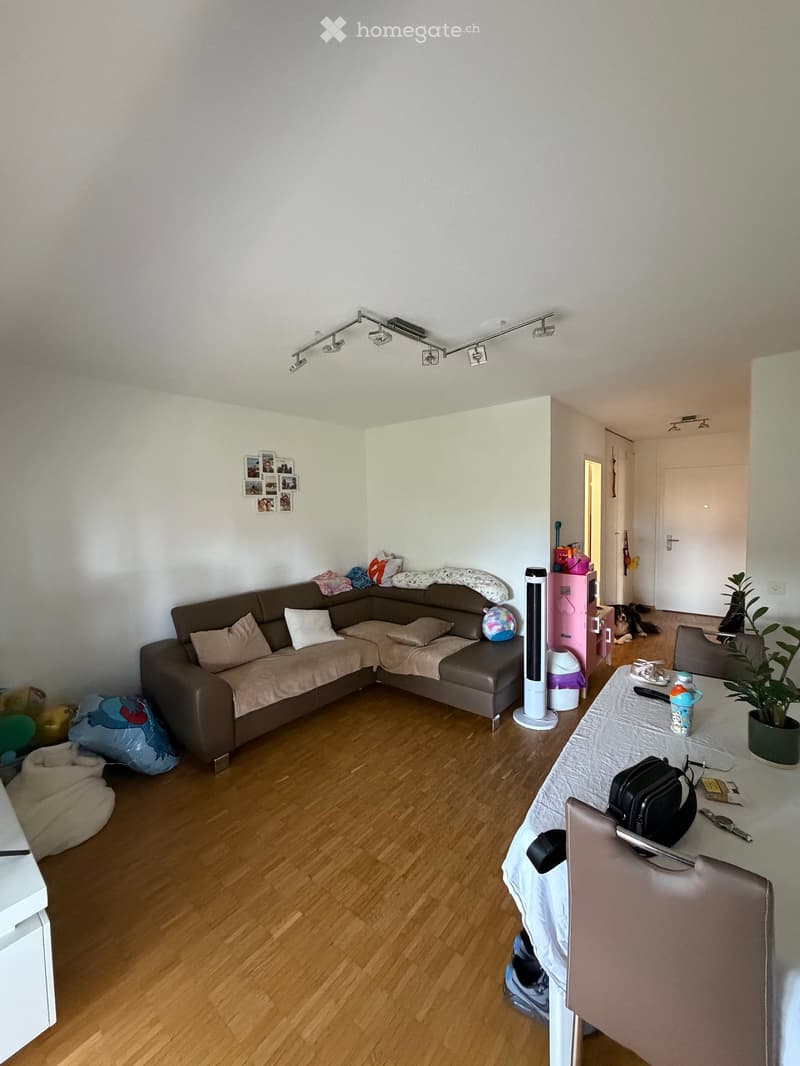 A modern living room with a brown sectional sofa, a small table with a plant, and a dog in the background. The room features wooden flooring and white walls.
