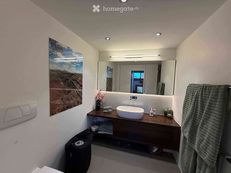 Modern bathroom with a large mirror, wooden vanity, sink, towels, and decorative items including a flower vase and cactus.