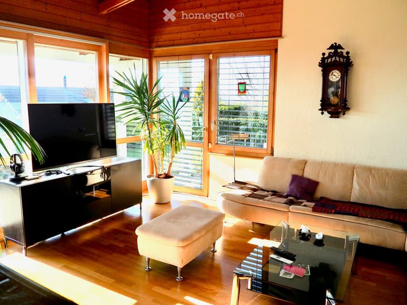 Bright living room with wooden ceiling, large windows, sofa, ottoman, coffee table, TV, and decorative plant.