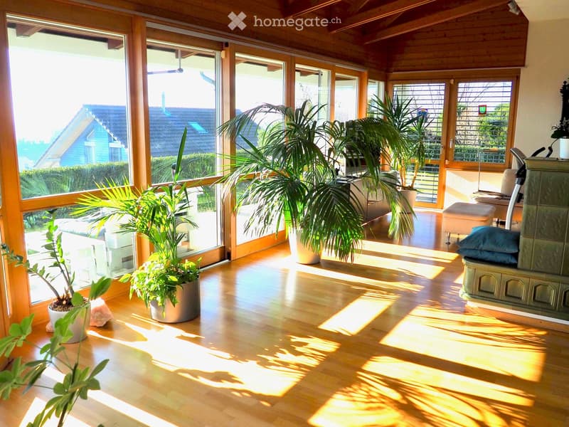Bright, sunlit room with wooden flooring, large windows, and several potted plants. Features a sofa, ottoman, and fireplace.