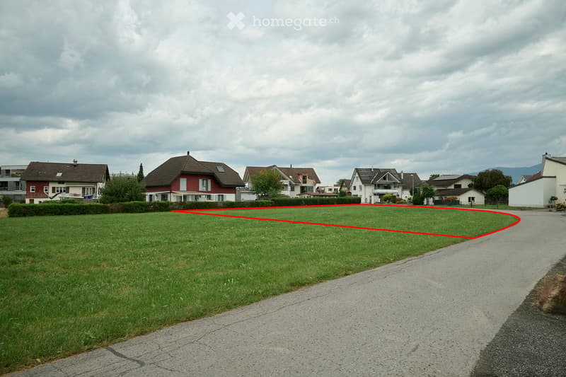 A grassy area with a red outline marking a boundary, surrounded by houses and a paved road.