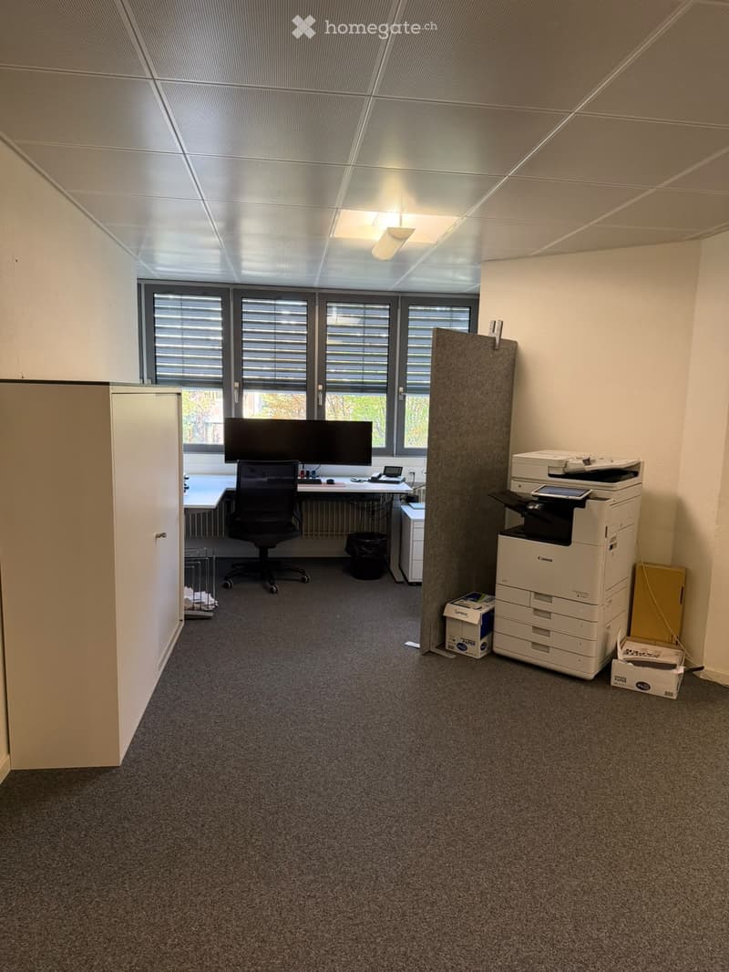Office space with a desk, chair, screen, printer, and a large window with blinds.