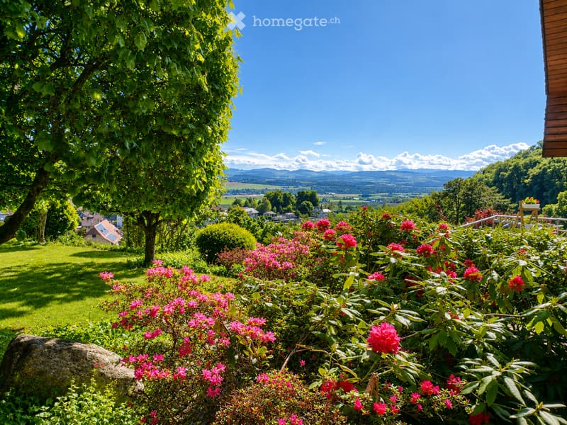 A well-maintained garden with vibrant pink flowers, lush greenery, and a scenic view of a valley and distant mountains under a clear blue sky.
