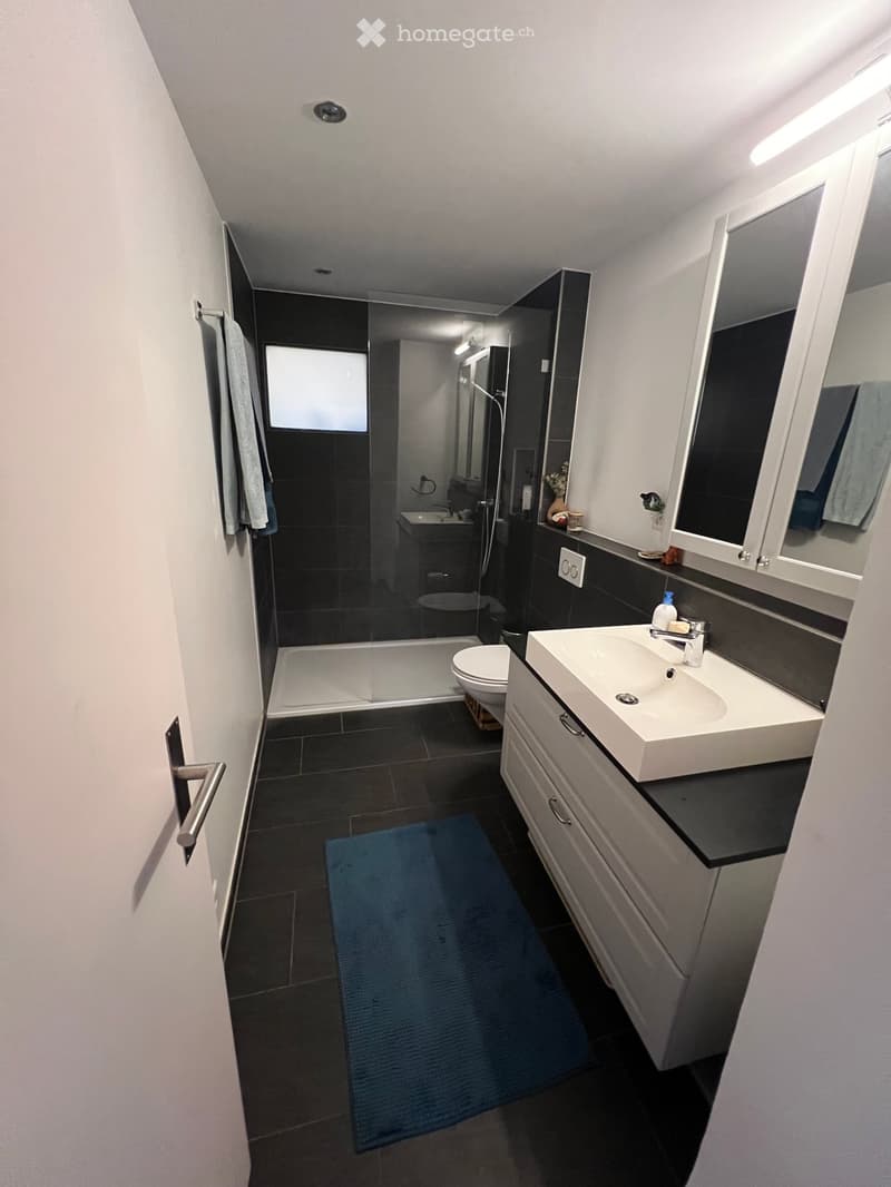 Modern bathroom with dark tiles, white sink, mirror, toilet, and shower area. Includes a blue bath mat and towel on the wall.