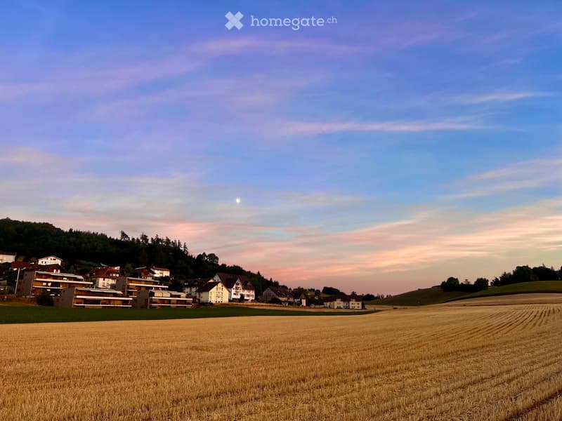 Rural landscape with a field of golden wheat, scattered houses, and trees under a twilight sky.