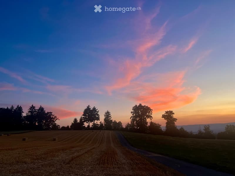 A serene rural landscape at sunset, featuring a harvested field with visible tire tracks, scattered hay bales, and a winding road leading into the distance, surrounded by trees and rolling hills under a colorful sky.