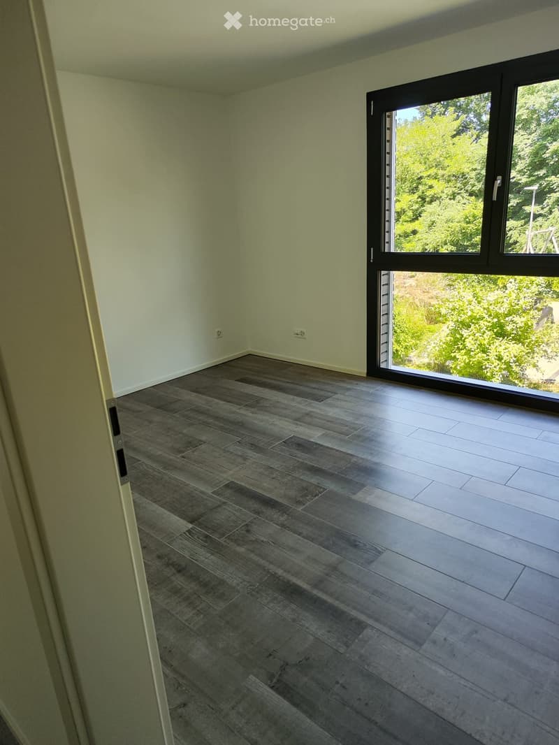 Empty room with light green walls and dark wooden flooring, featuring a large sliding glass door leading to an outdoor area.