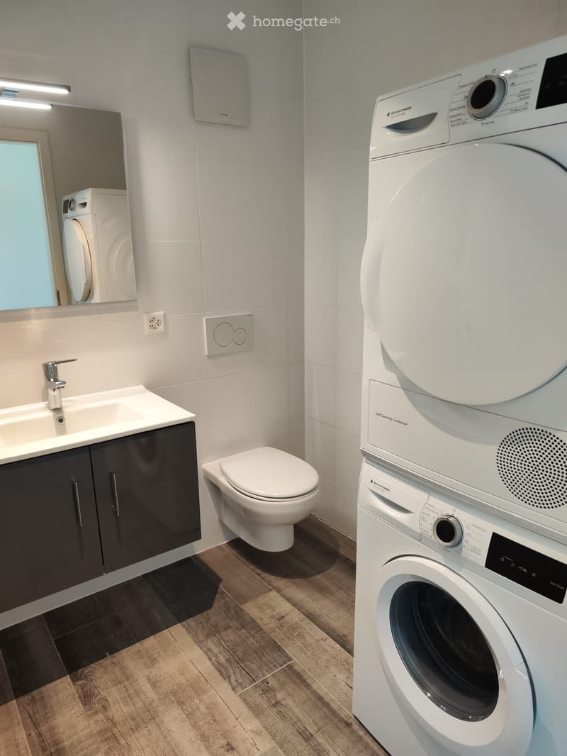 Modern bathroom with a sink, toilet, washing machine, and condenser, featuring dark wooden flooring and white tiled walls.