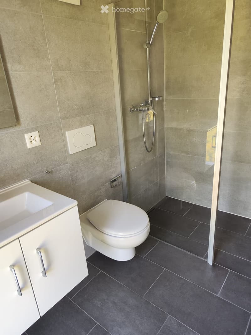Modern bathroom with a white sink, toilet, and glass-enclosed shower with a handheld showerhead. Beige tiled walls and dark grey tiled floor.
