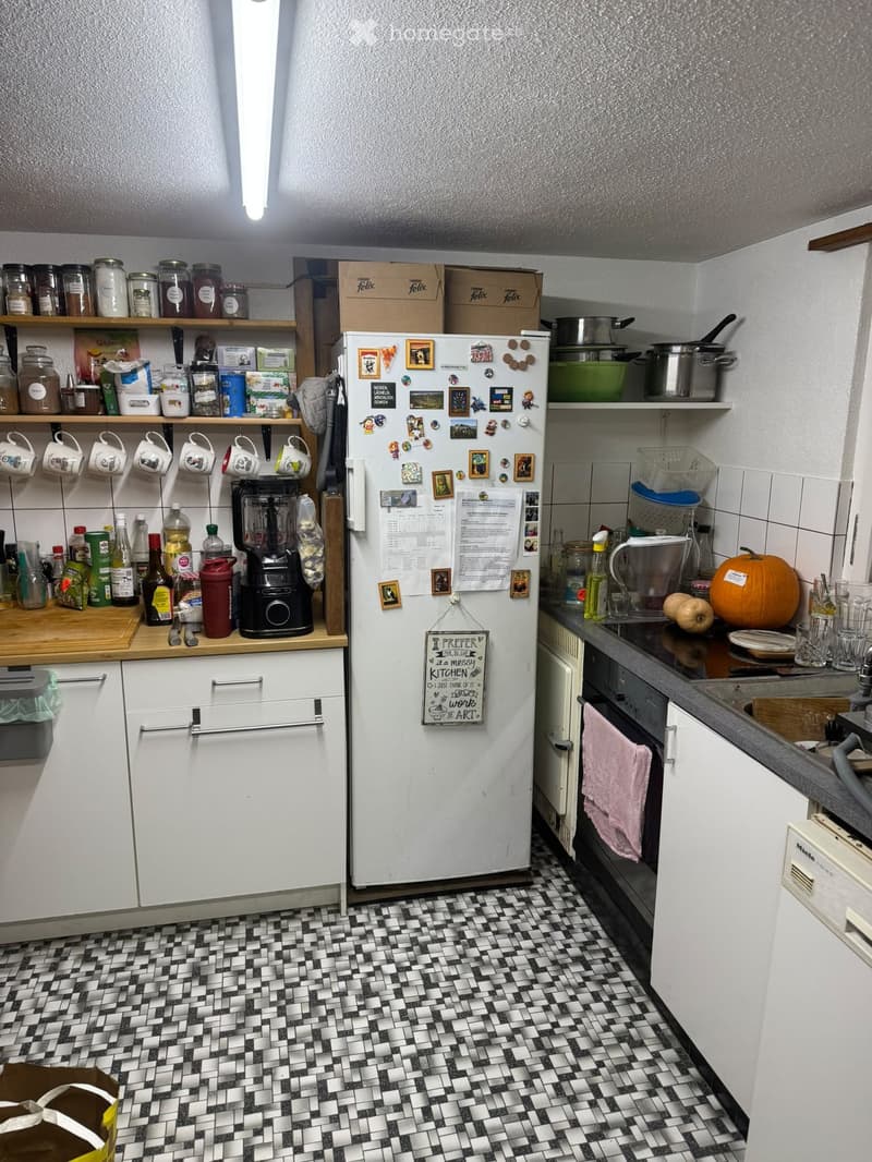 {"type": "Kitchen", "objects": ["refrigerator", "oven", "blender", "cupboard", "sink", "fridge magnets", "cup hooks", "oven mitt", "oven towel", "cupboard", "cupboard", "cupboard", "cupboard", "cupboard", "cupboard", "cupboard", "cupboard", "cupboard", "c