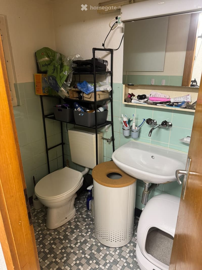 Bathroom with a toilet, sink, mirror, toothbrush holder, shelf, trash can, and a cat litter box. The walls are tiled in light green, and the floor has a patterned tile design.