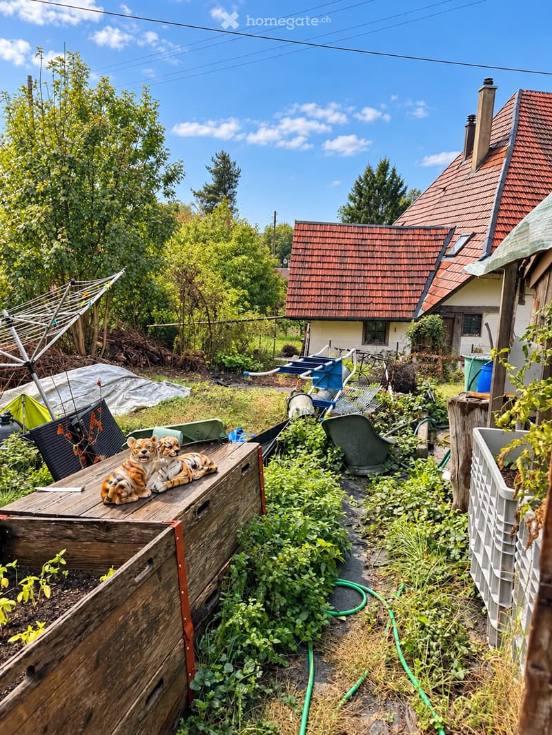 Overgrown garden with wooden crates, plastic containers, and scattered items. A small house with a red-tiled roof is visible in the background, surrounded by trees and greenery.