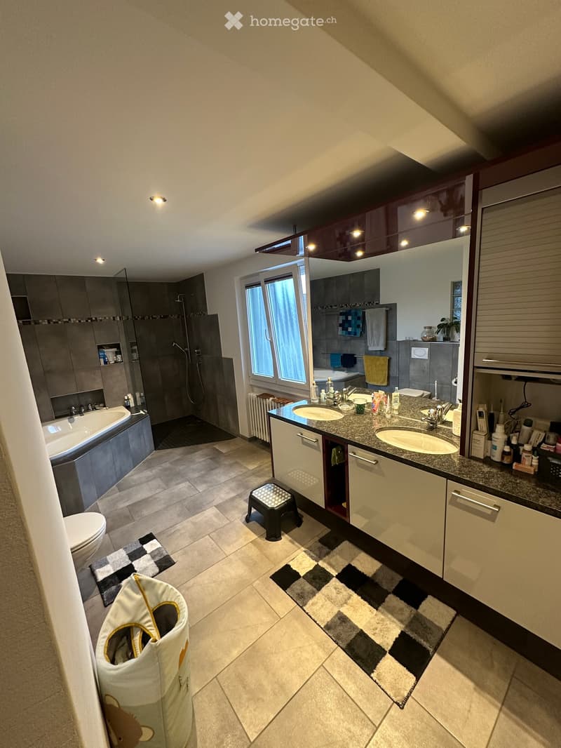Modern bathroom with a double sink vanity, bathtub, toilet, shower, and large mirror. Features tiled floors, built-in cabinets, and decorative rugs.