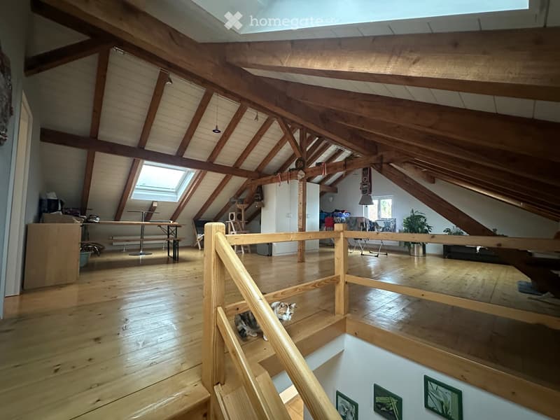 Open loft space with wooden beams, skylight windows, wooden floor, staircase, and various furniture including a table, bench, cat tree, and plant.