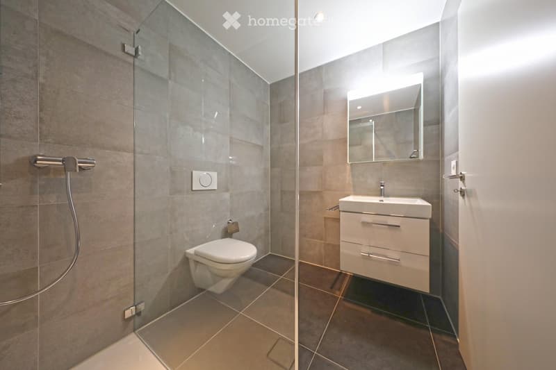 Modern bathroom with a glass-enclosed shower, toilet, sink with a mirrored cabinet, and sleek tile walls and floors.