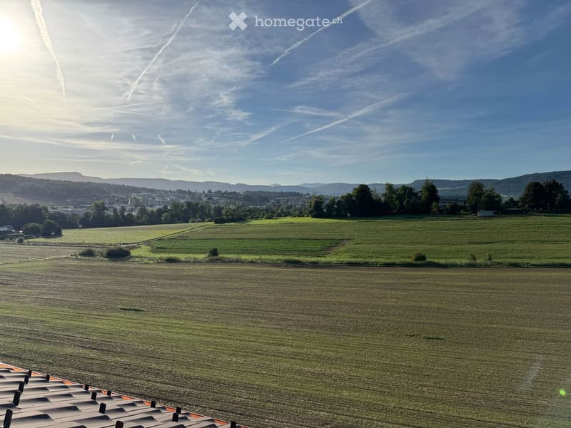 elevated view of expansive green farmlands with distant hilly terrain under a partly cloudy sky
