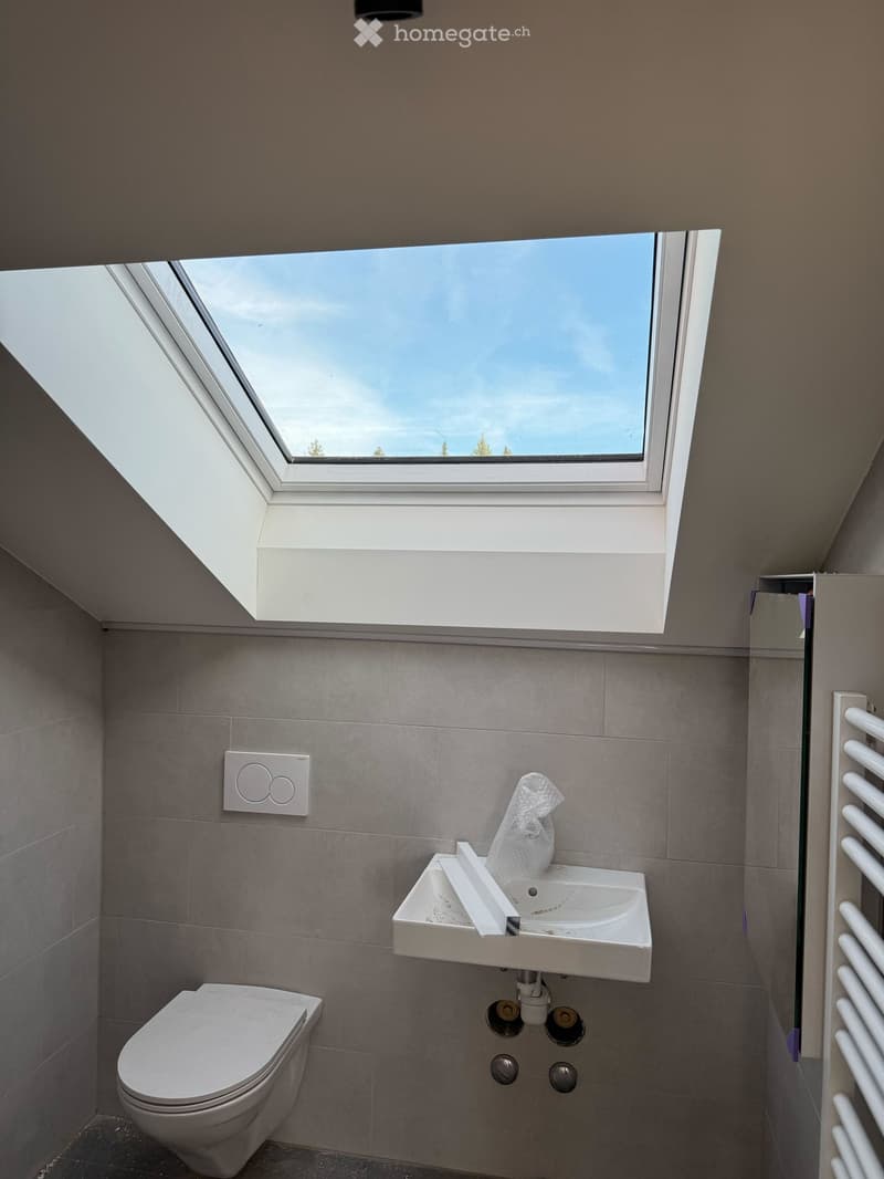 modern bathroom with gray tiles, white sink, white toilet, skylight