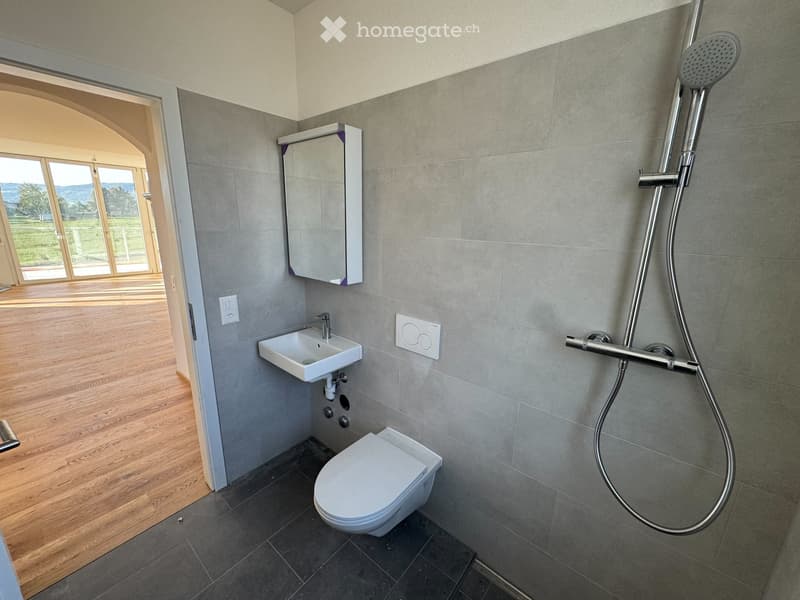 Modern bathroom with toilet, sink, and shower