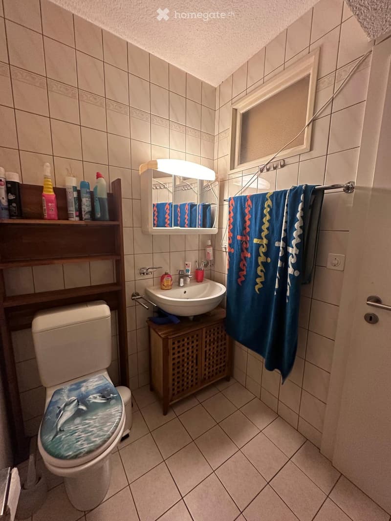 Bathroom with tiled walls and floor, featuring a toilet with a dolphin seat cover, a sink with a mirror, a towel rack with towels, and a wooden shelf holding cleaning supplies.