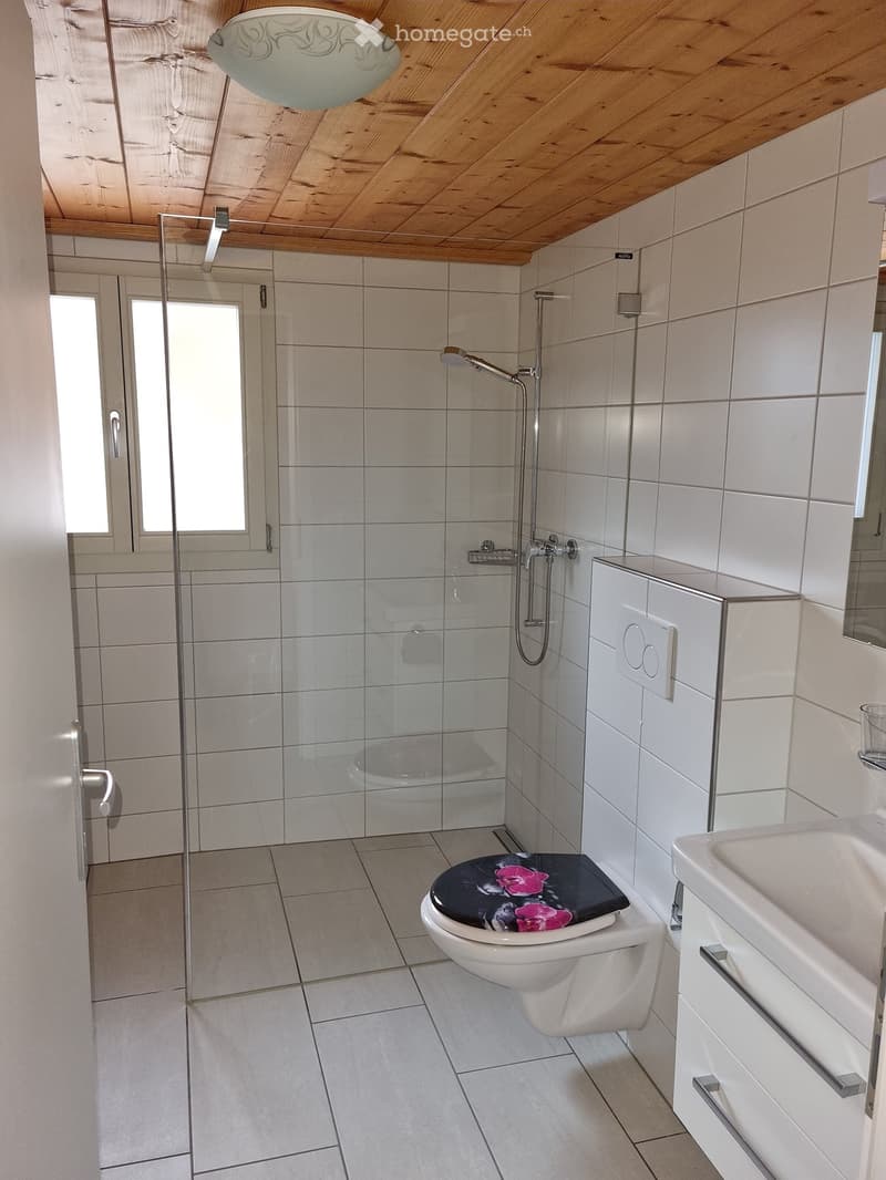 5 1/2 Zimmer-Dachwohnung in Wilderswil (7)