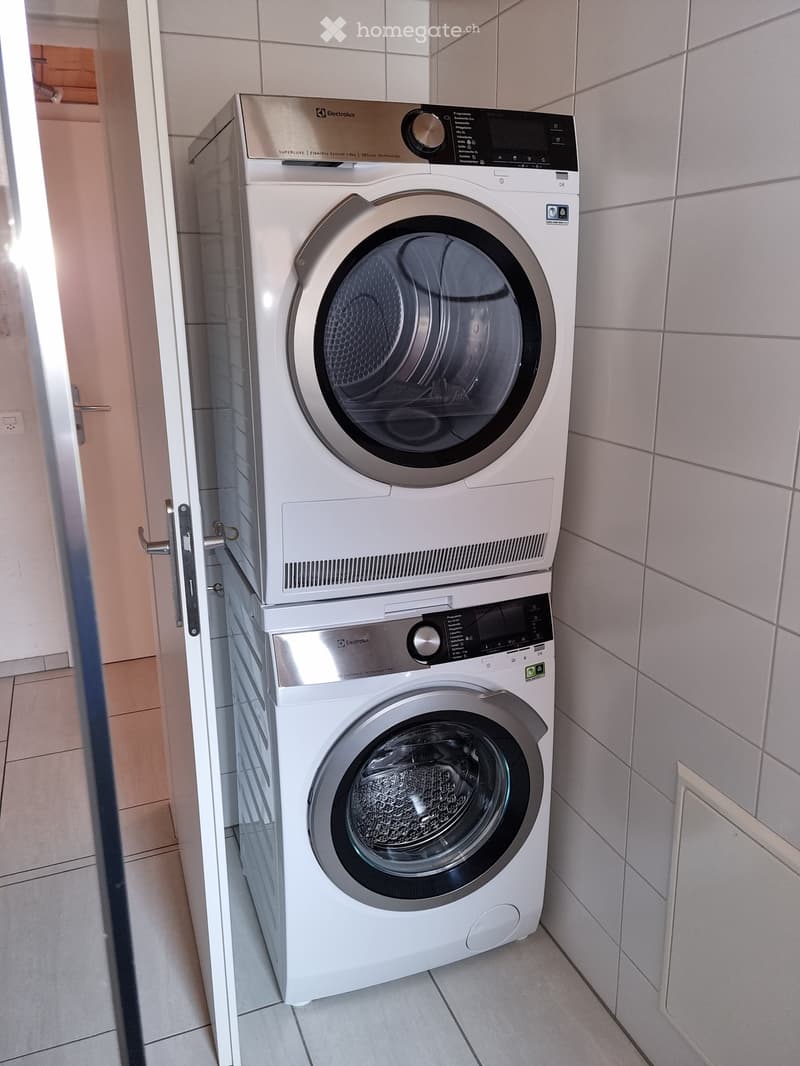 5 1/2 Zimmer-Dachwohnung in Wilderswil (3)