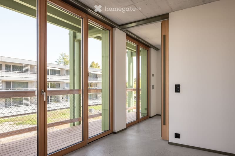 Modern hallway with large glass sliding doors leading to a balcony area, white walls, and carpeted floor.