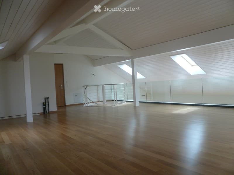 Empty room with wooden flooring, white walls, and large skylights. Features a small round railing and a wooden door.