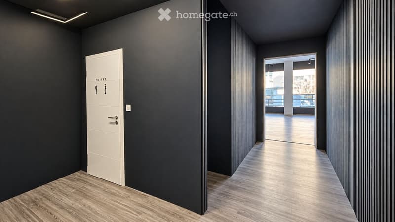 Modern hallway with dark walls, light wooden flooring, and a white door labeled 'TOILET' on the left. The hallway leads to an open area with natural light.