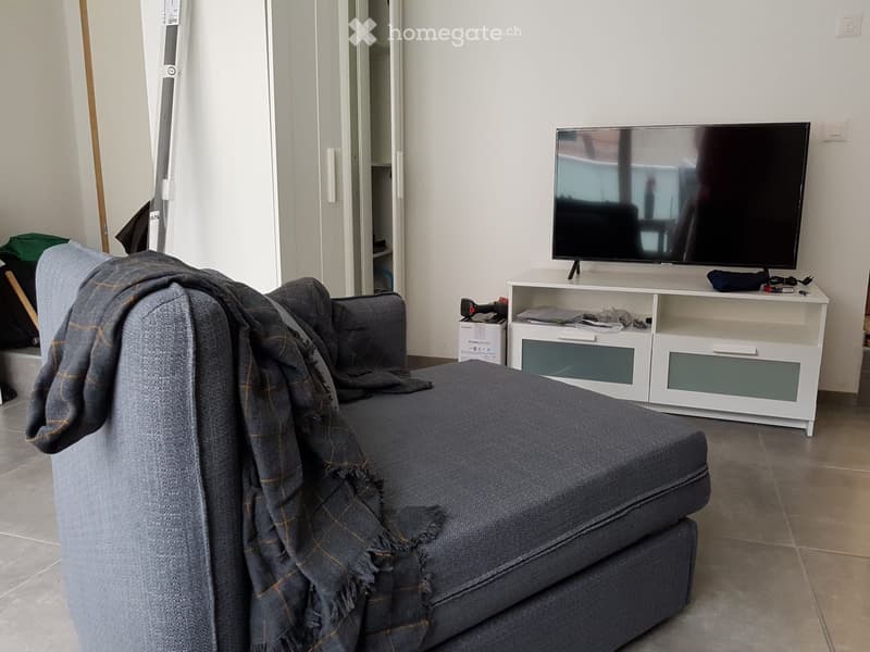 Living room with a grey sofa draped with a blanket, a flat-screen TV on a white cabinet, and a closet in the background.