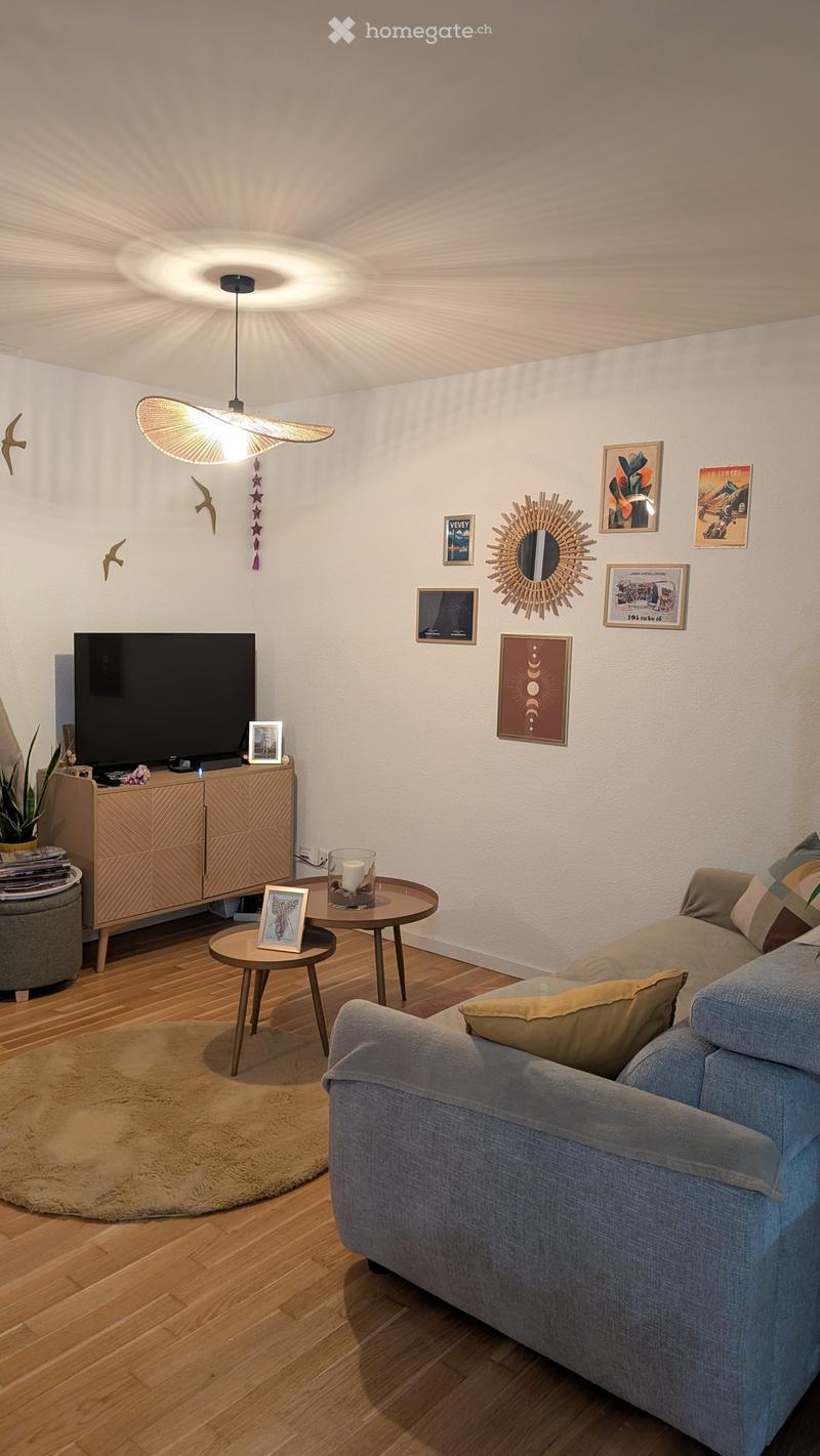 Modern living room with a grey sofa, coffee table, television, and decorative wall art. Features a round wooden coffee table, a hanging pendant light, and a round shag rug on the wooden floor.