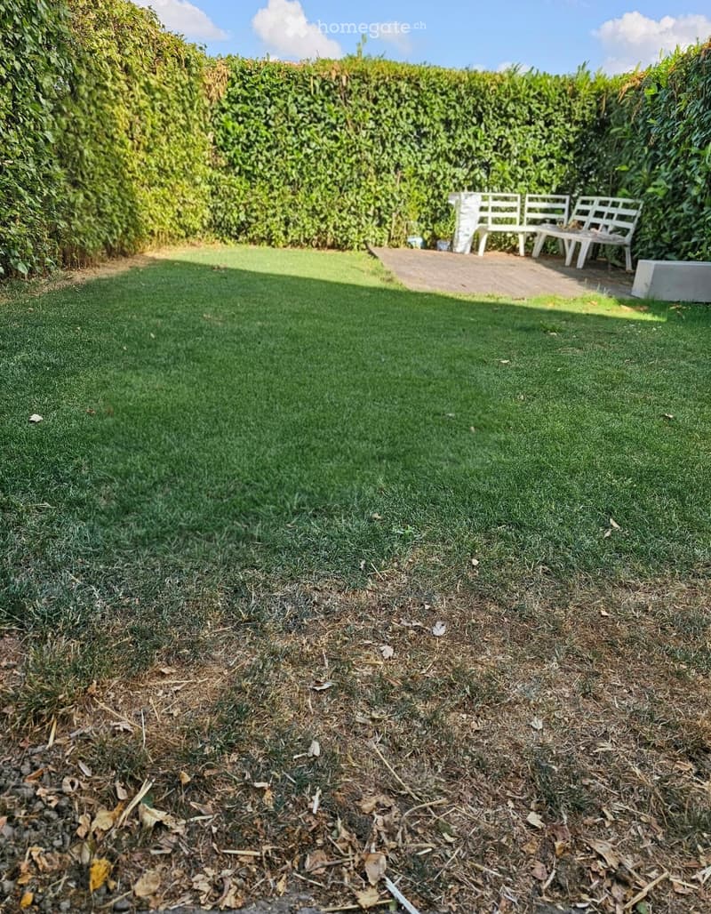 Well-maintained garden with artificial grass, a raised wooden bench, and a surrounding hedge.