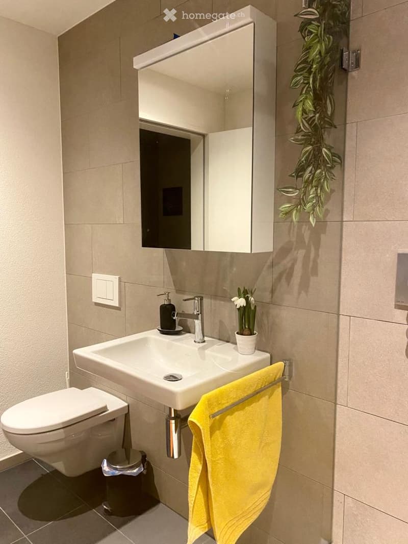 Modern bathroom with a white sink, mirror cabinet, toilet, and a yellow towel hanging on a rack. A small potted plant and soap dispenser are placed on the sink.