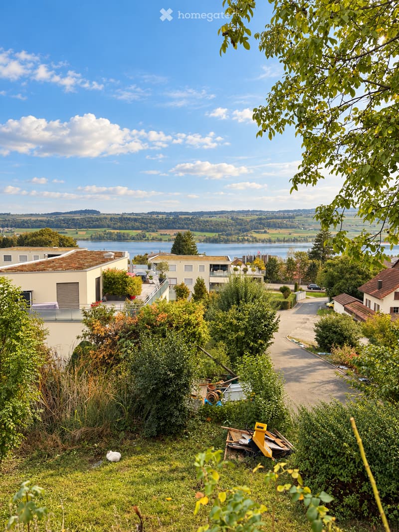 Einfamilienhaus mit See- und Bergsicht in Beinwil am See (8)