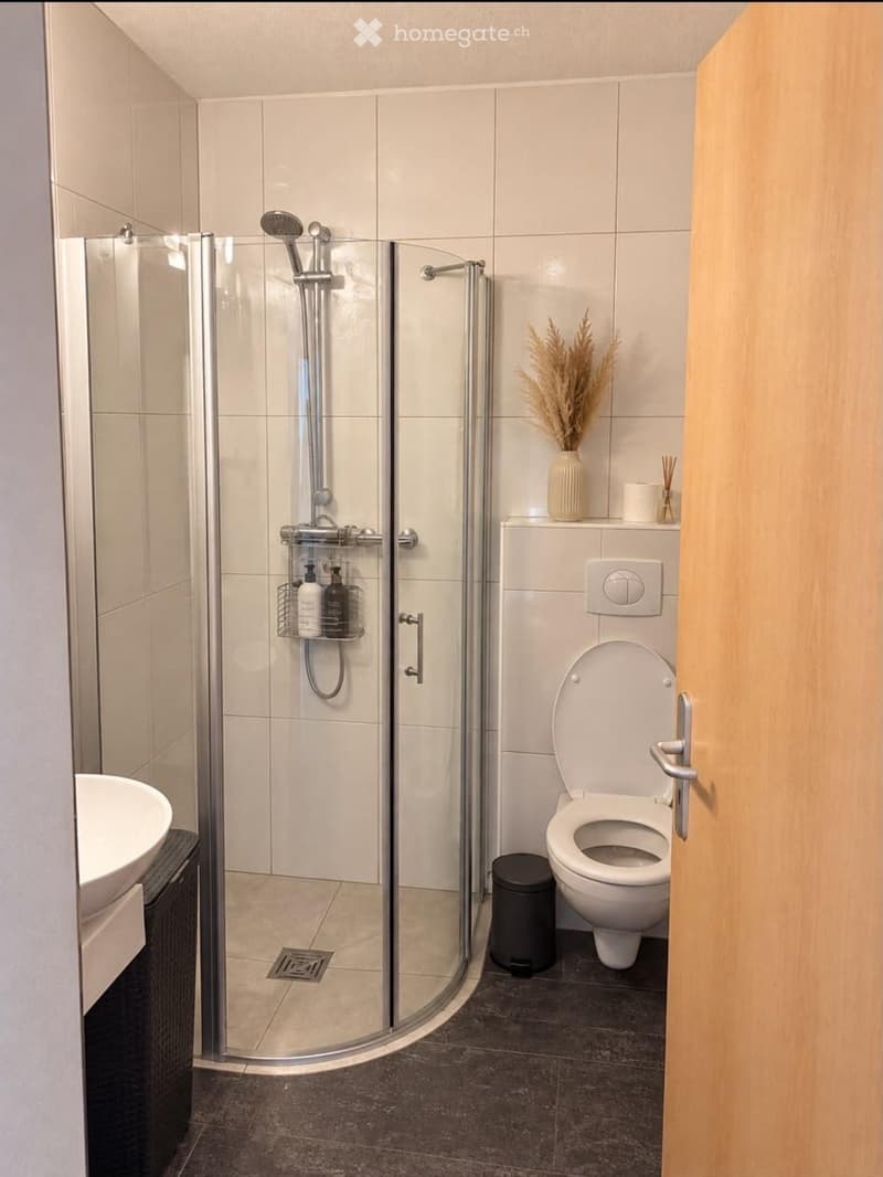 Modern bathroom with a glass-enclosed shower, toilet, sink, and decorative vase on a shelf.