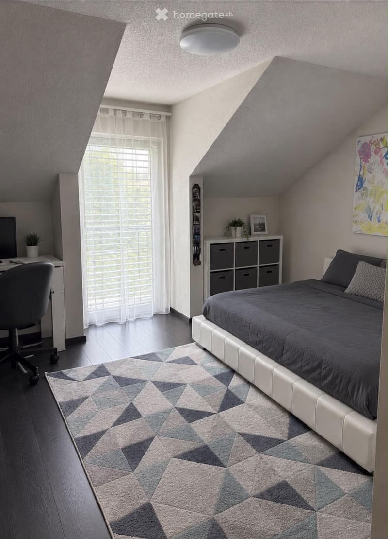 Cozy attic bedroom with a modern bed, geometric patterned rug, desk with chair, storage unit, and decorative items including a potted plant and artwork.