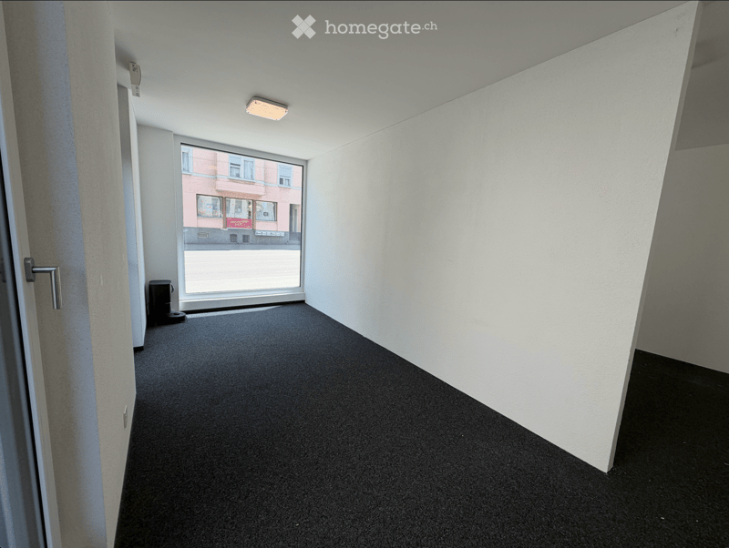 Empty hallway with grey carpet, white walls, and a large window showing a street view.