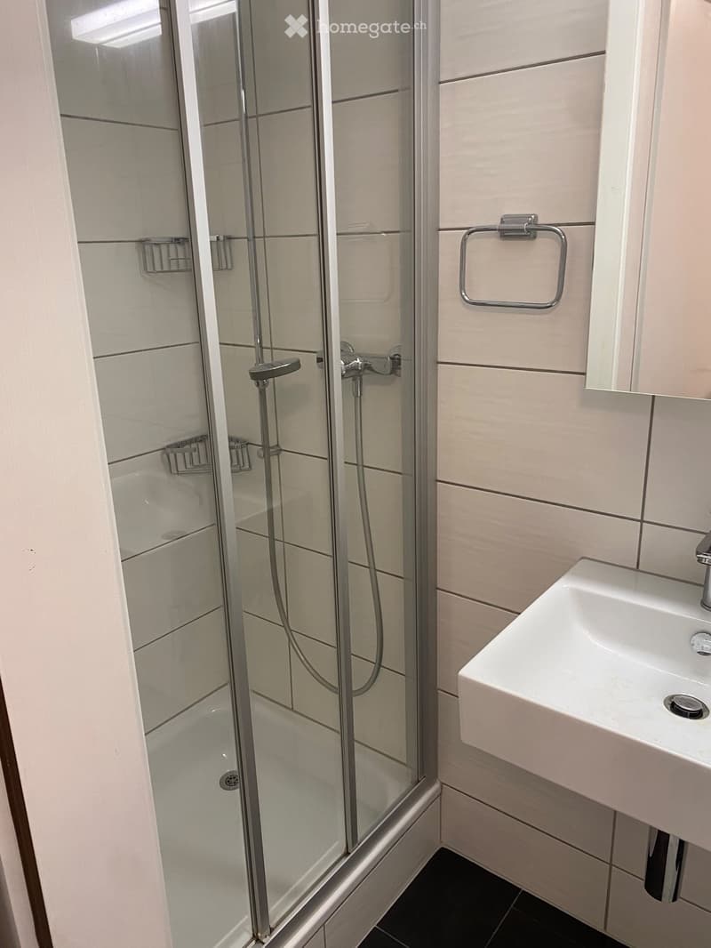 Modern bathroom with a glass-enclosed shower, a white sink with a chrome faucet, and a towel ring on the wall.