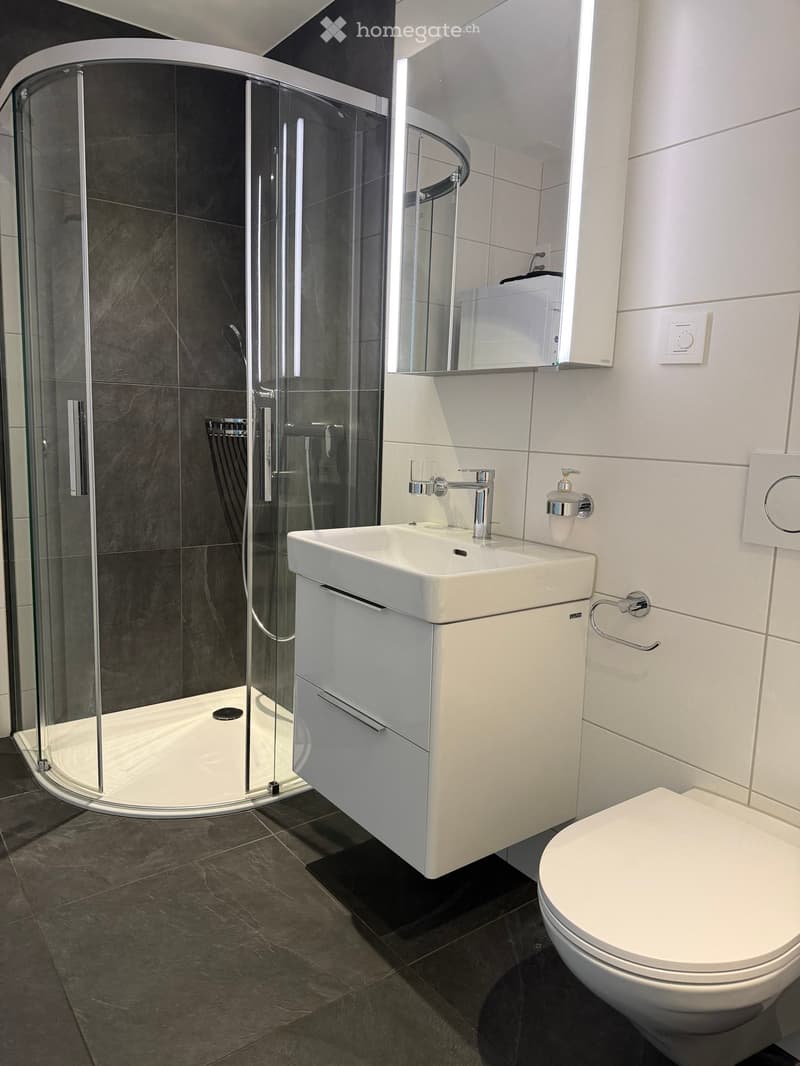 Modern bathroom with a white sink, chrome faucet, toilet, and a glass-enclosed shower with dark tiles.