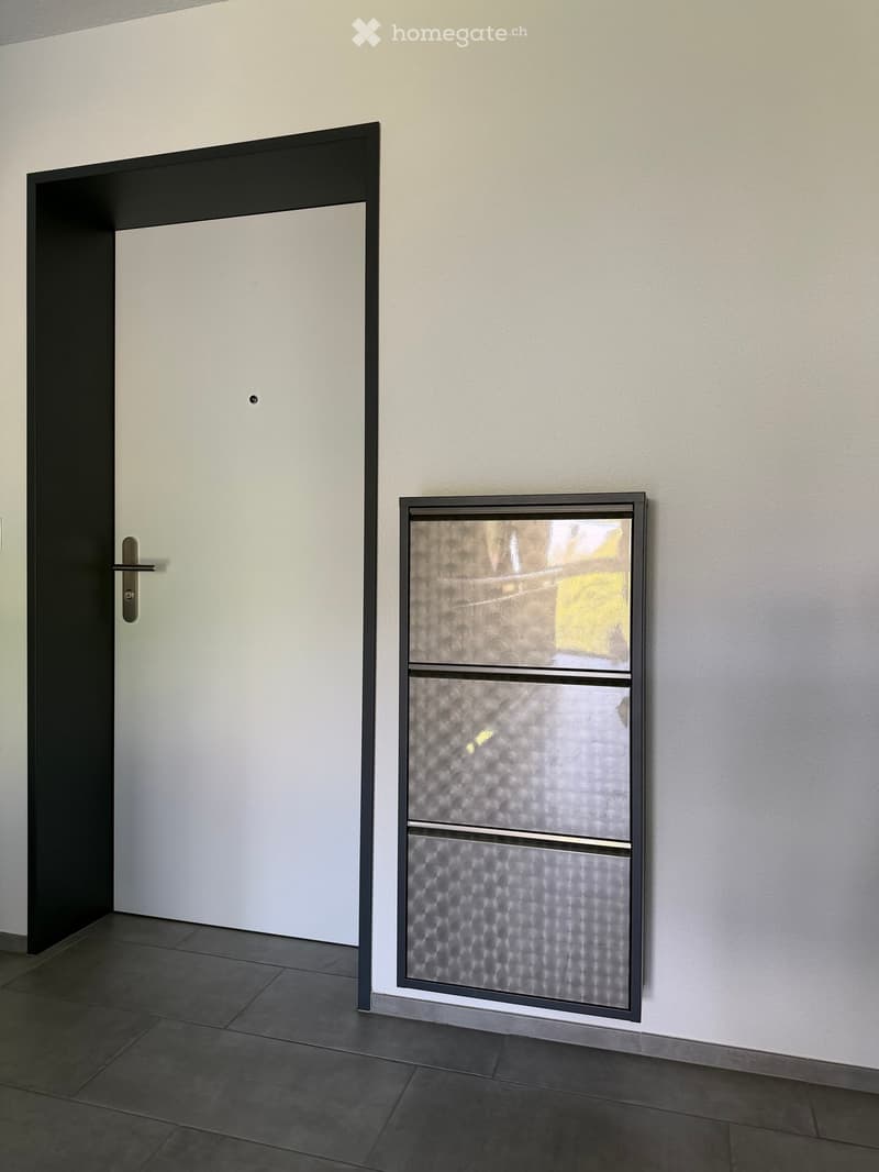 Modern hallway with a white door and a frosted glass panel featuring a textured pattern. The floor is tiled in dark gray, and the walls are painted in a light beige color.