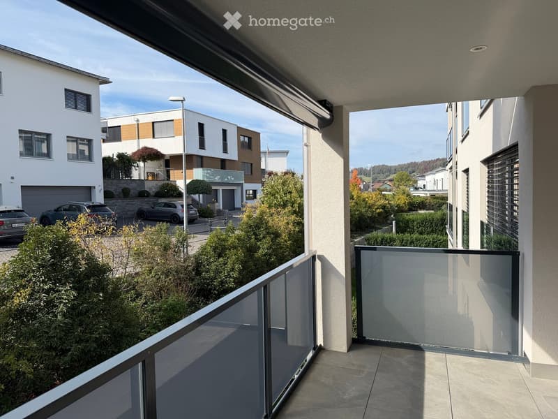 Balcony with modern glass railing, overlooking a residential area with modern houses, greenery, and parked cars.