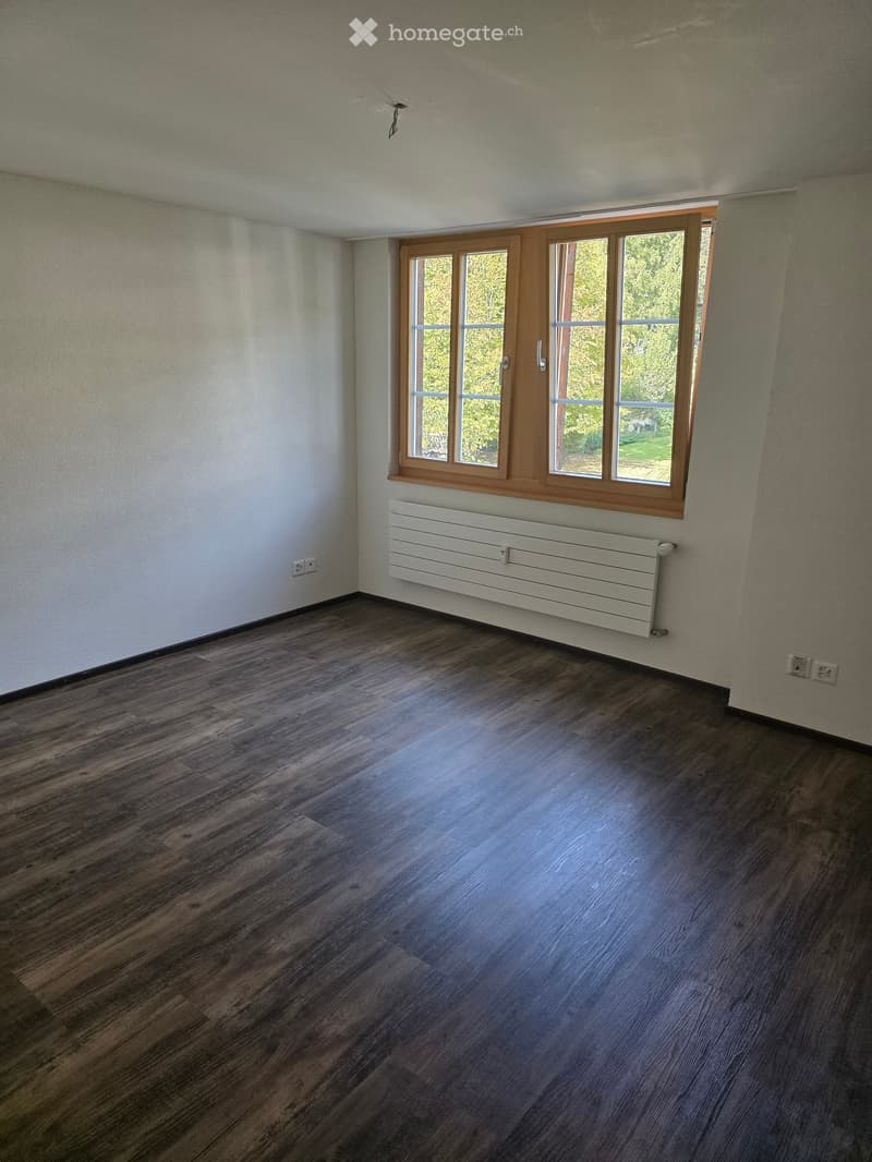 Empty room with wooden flooring, white walls, a large window with wooden frame, and a white radiator below the window.