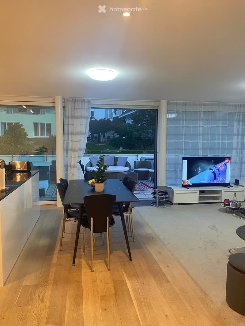 Open-plan living and dining area with wooden flooring, a dining table with chairs, a sofa, a television, and a small plant on the table.