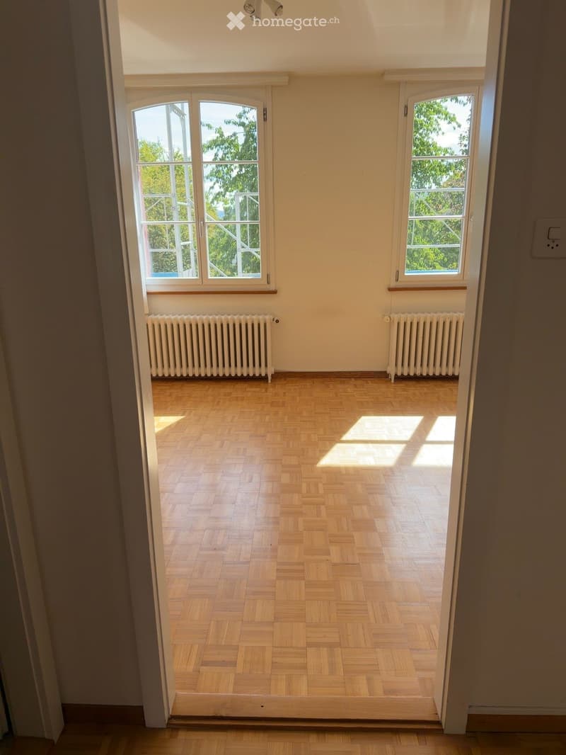 Empty room with wooden herringbone flooring, large windows with white frames, and radiators on both sides.