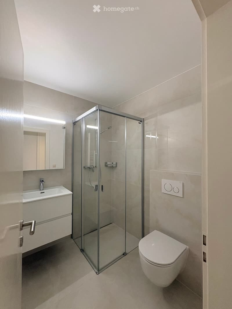 Modern bathroom with a glass shower enclosure, a white toilet, a sink with a mirror, and sleek fixtures.